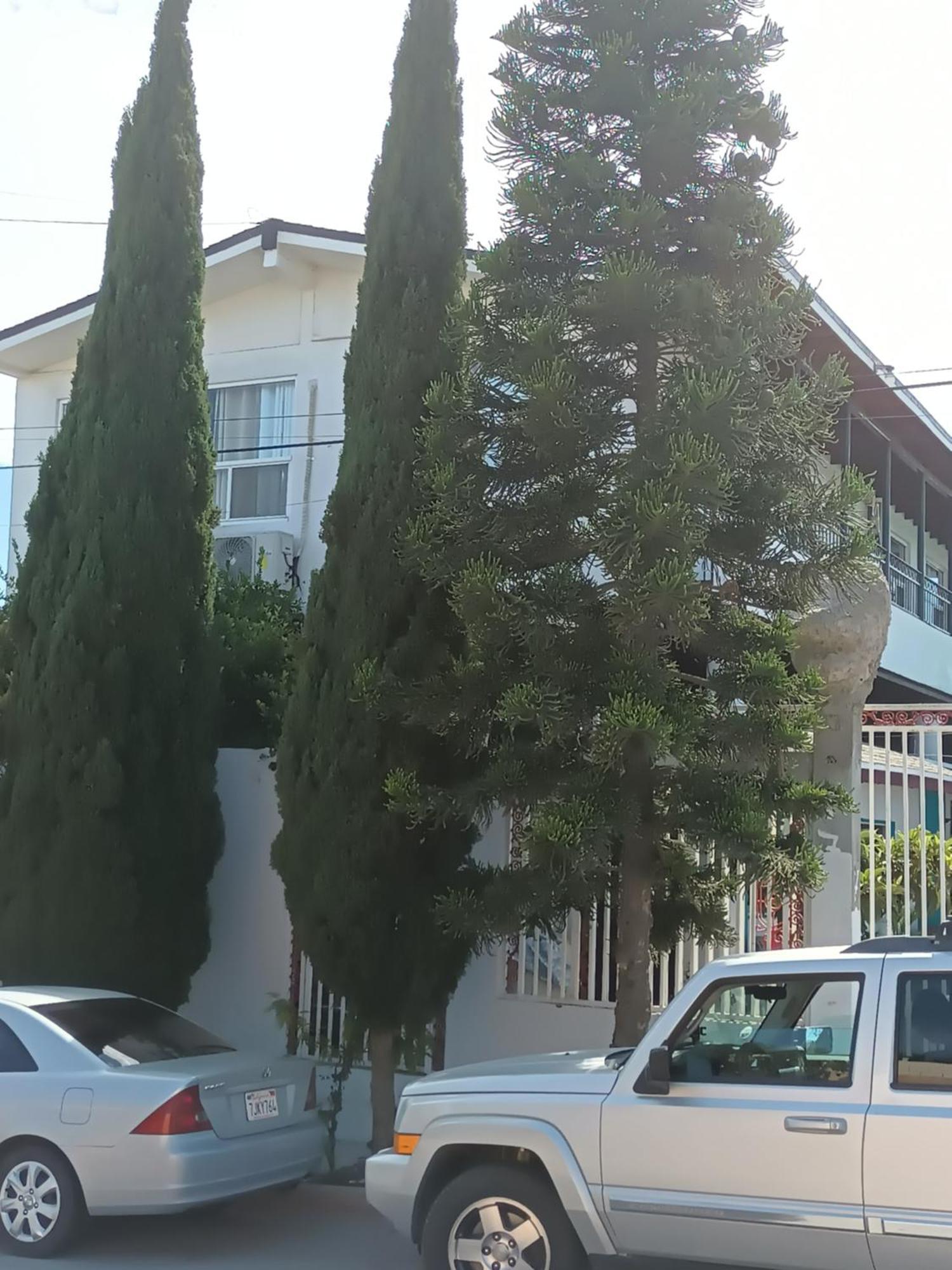 Apartamentos Rosarito.!! Con Vista Al Mar ! Kültér fotó